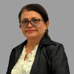 Ir. Bercomien Juliet Papilaya, M.P.